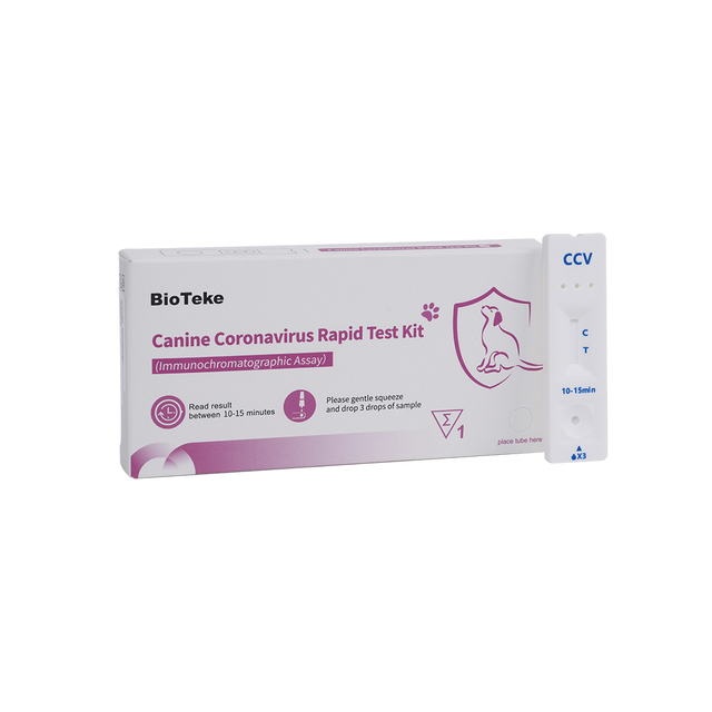 Κανονοϊό Corine Coronavirus (CCV) (ανοσοχρωτογραφική δοκιμασία) ICA2301-1