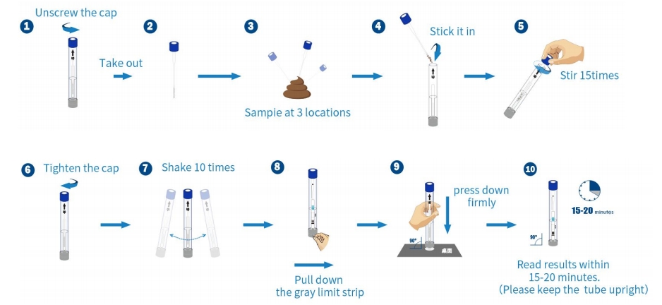 διαδικασία h. πυλόρη