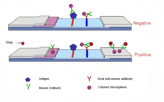 αρχή δοκιμής φαρμάκων ούρων