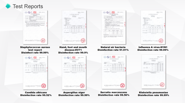 αναφορά δοκιμής