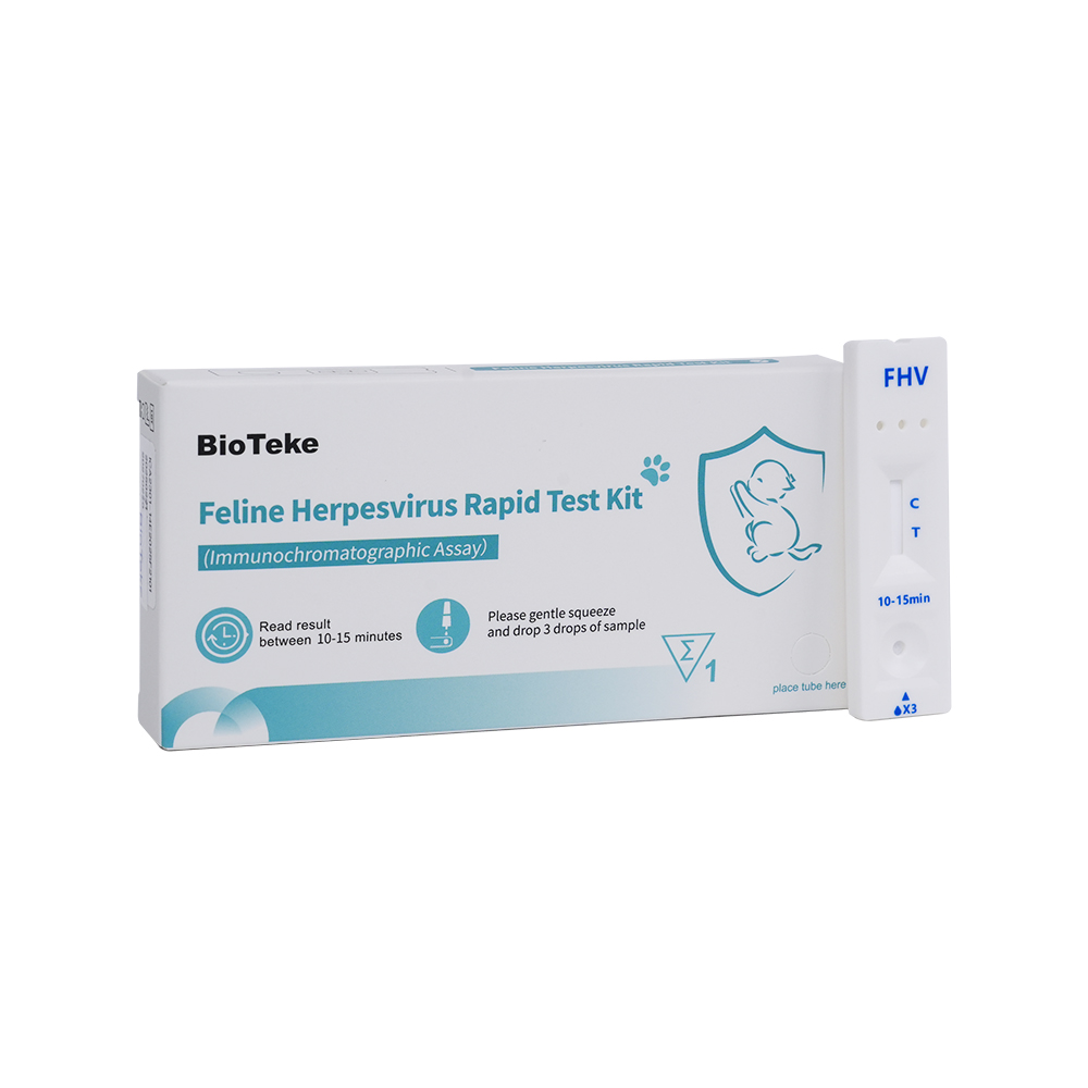 FHV Rapid Test