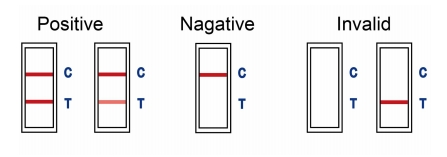 αποτελέσματα